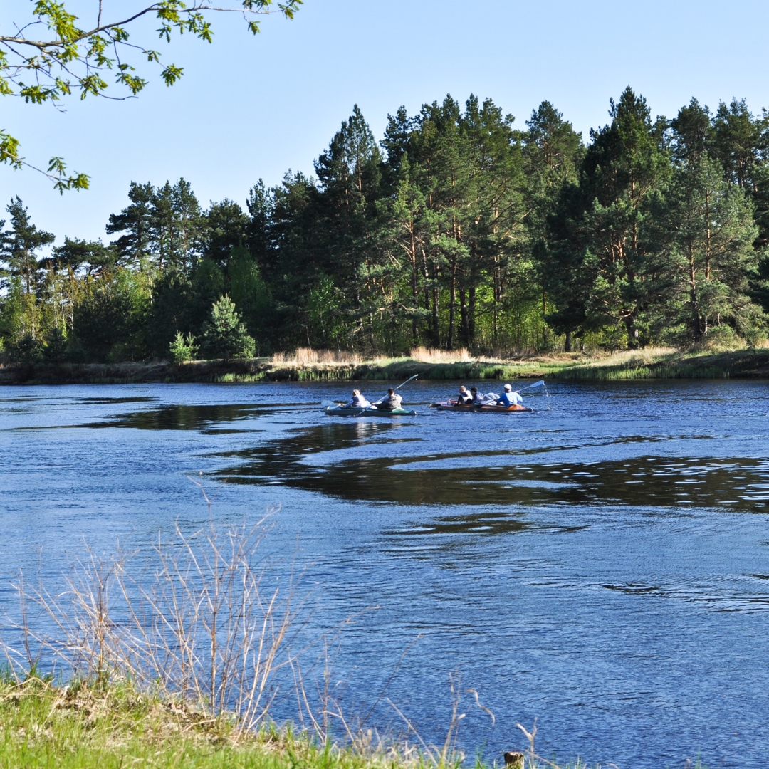 kajaki wiosenne