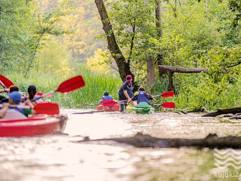 kajaki24.eu