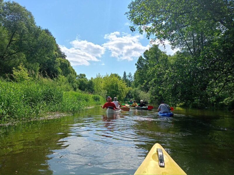 Wiosłuj Z "Ka-Jackiem" - wypożyczalnia kajaków